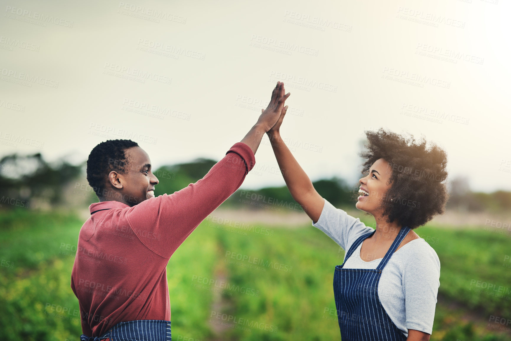 Buy stock photo Happy couple, success and farming with high five for agriculture, production or natural sustainability. Young, man and woman smile for conservation, agro business or eco friendly teamwork in nature