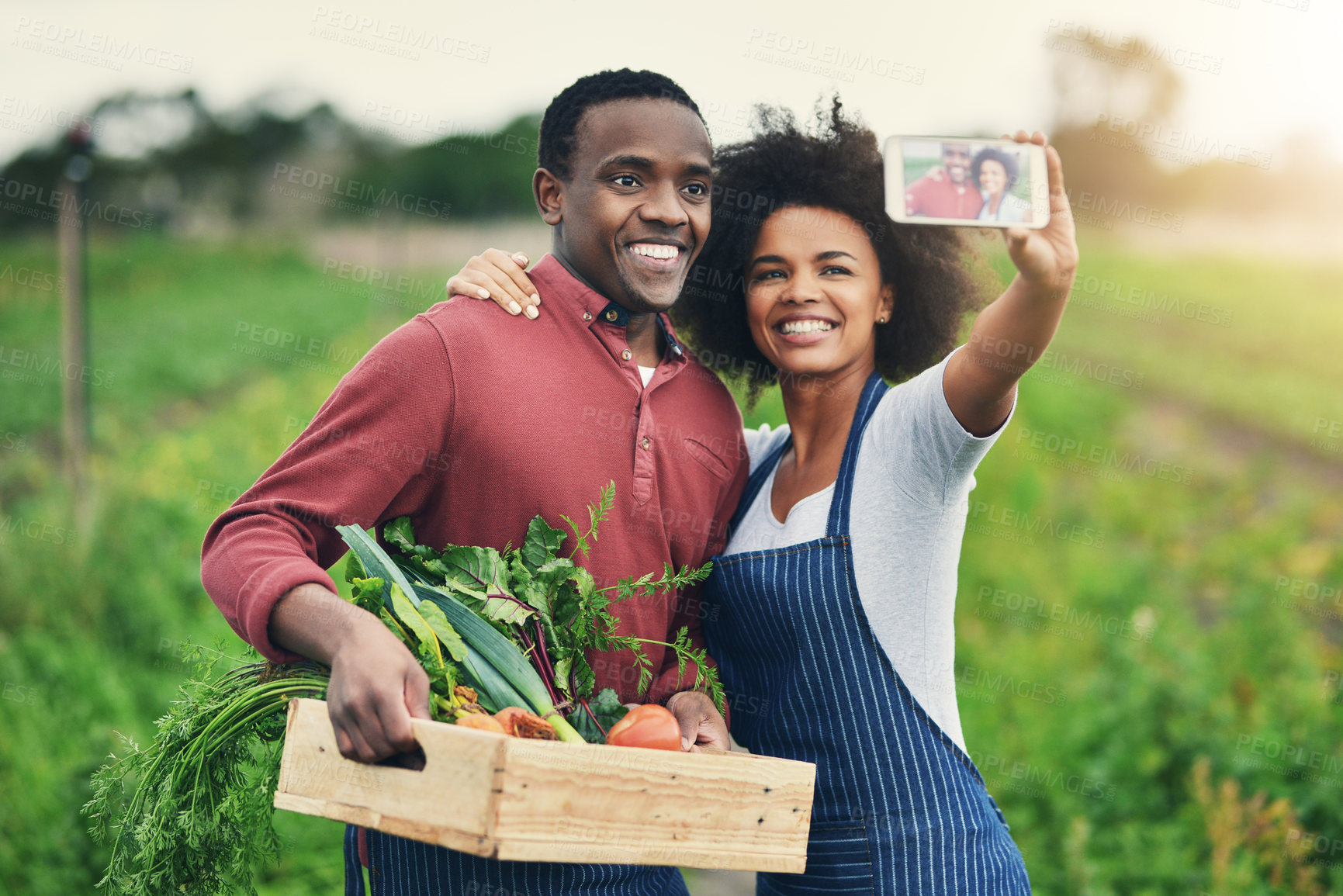 Buy stock photo Man, woman or technology with selfie for farming, profile picture for social media or startup blog. Black people, food or agro business for green environment, together for face photography with smile