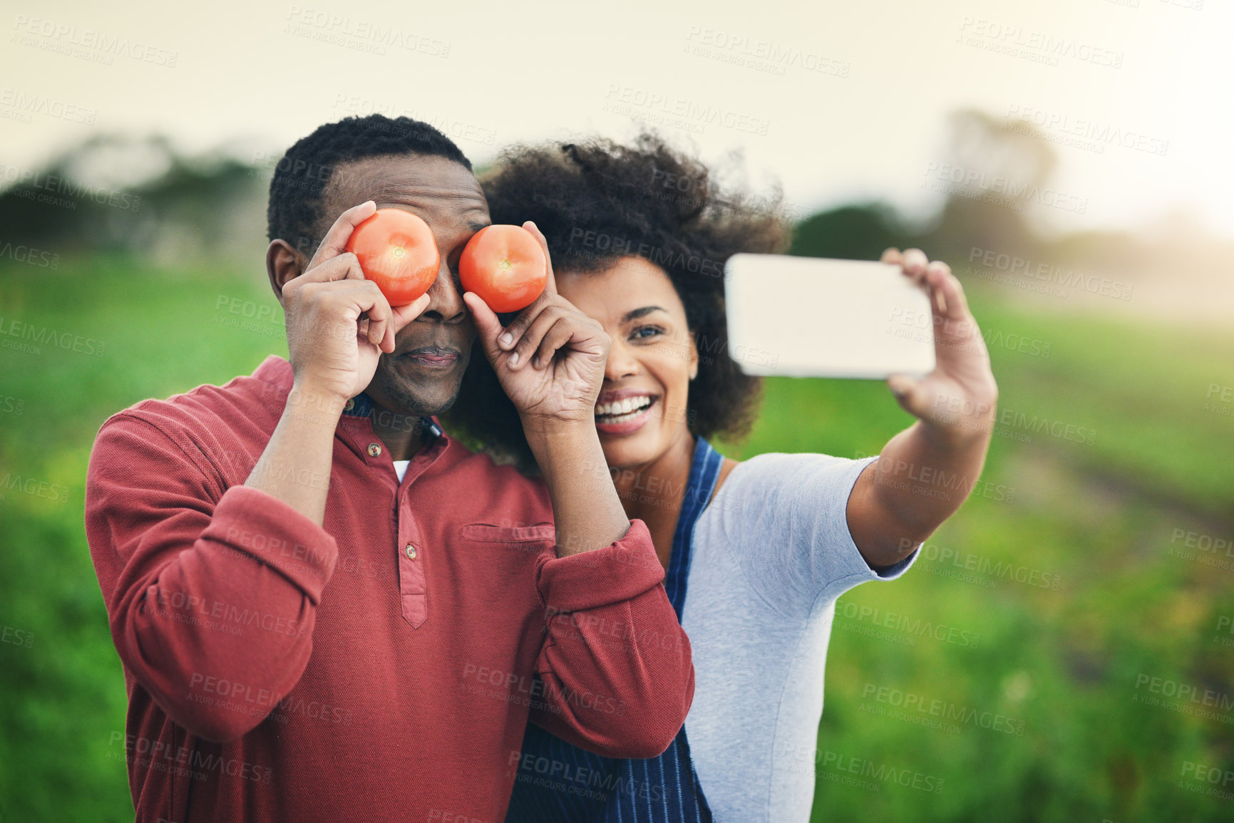 Buy stock photo Happy couple, agriculture and selfie with tomato for memory, photography or fresh produce in countryside. Young, man and woman with smile or vegetables for picture, moment or conservation in nature