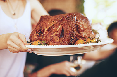 Buy stock photo Chicken, lunch and hands of a woman at a celebration with a plate for a party, Christmas or gathering. Food, nutrition and girl serving a turkey for dinner during Thanksgiving with family and friends
