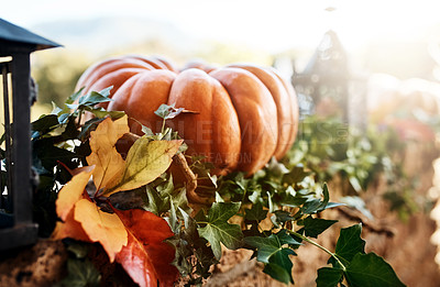 Buy stock photo Cropped shot of a pumpkin center piece outside on Thanksgiving day