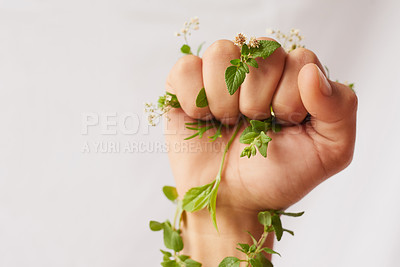 Buy stock photo Cropped shot of an unidentifiable woman's hand clenching flowers in a fist in studio