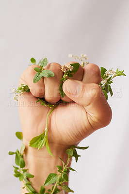Buy stock photo Woman hand, green growth and fist for eco warrior, fight and revolution for sustainability protest. White background, studio and person with leaf and flower plant in hands for environment activist