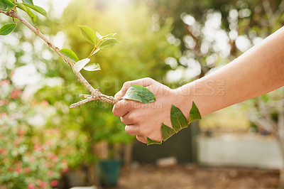 Buy stock photo Cropped shot of an unidentifiable young man shaking hands with a branch in his garden