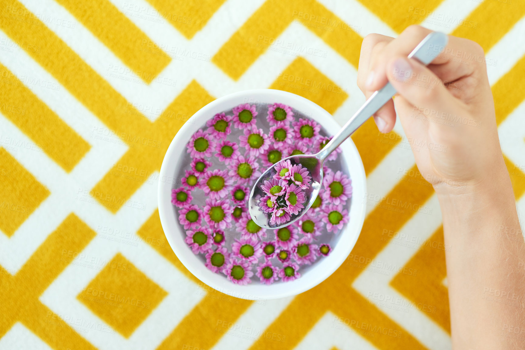 Buy stock photo High angle shot of a bowl full of pretty pink flowers