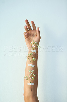 Buy stock photo Studio shot of plants taped to an unrecognizable person's raised arm against a grey background