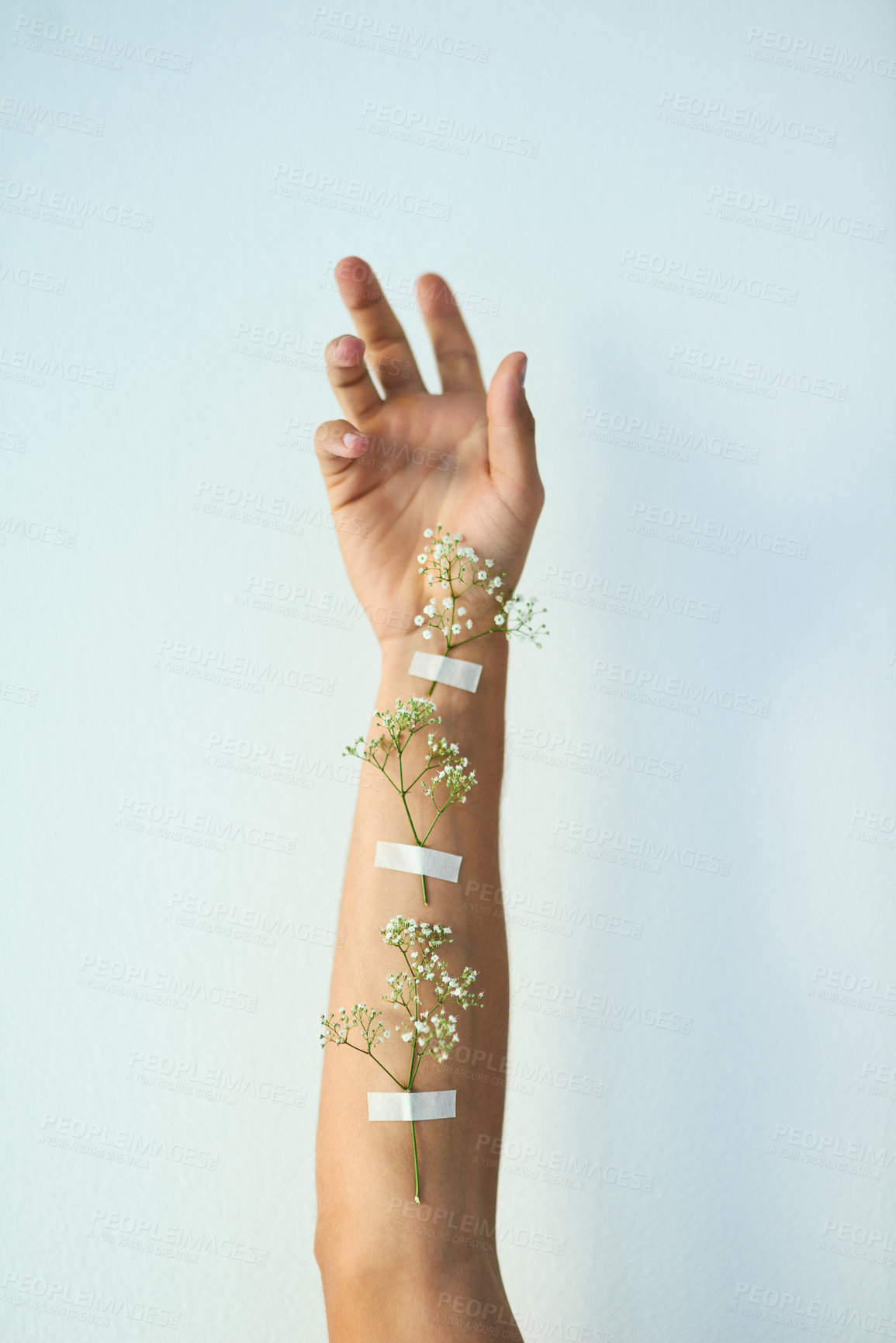 Buy stock photo Studio shot of plants taped to an unrecognizable person's raised arm against a grey background