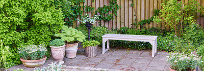 Buy stock photo A beautiful empty green garden with a wooden bench and potted plants outside in a backyard on a summer day. Vibrant park with scenic views of nature in a peaceful and tranquil spot outdoors