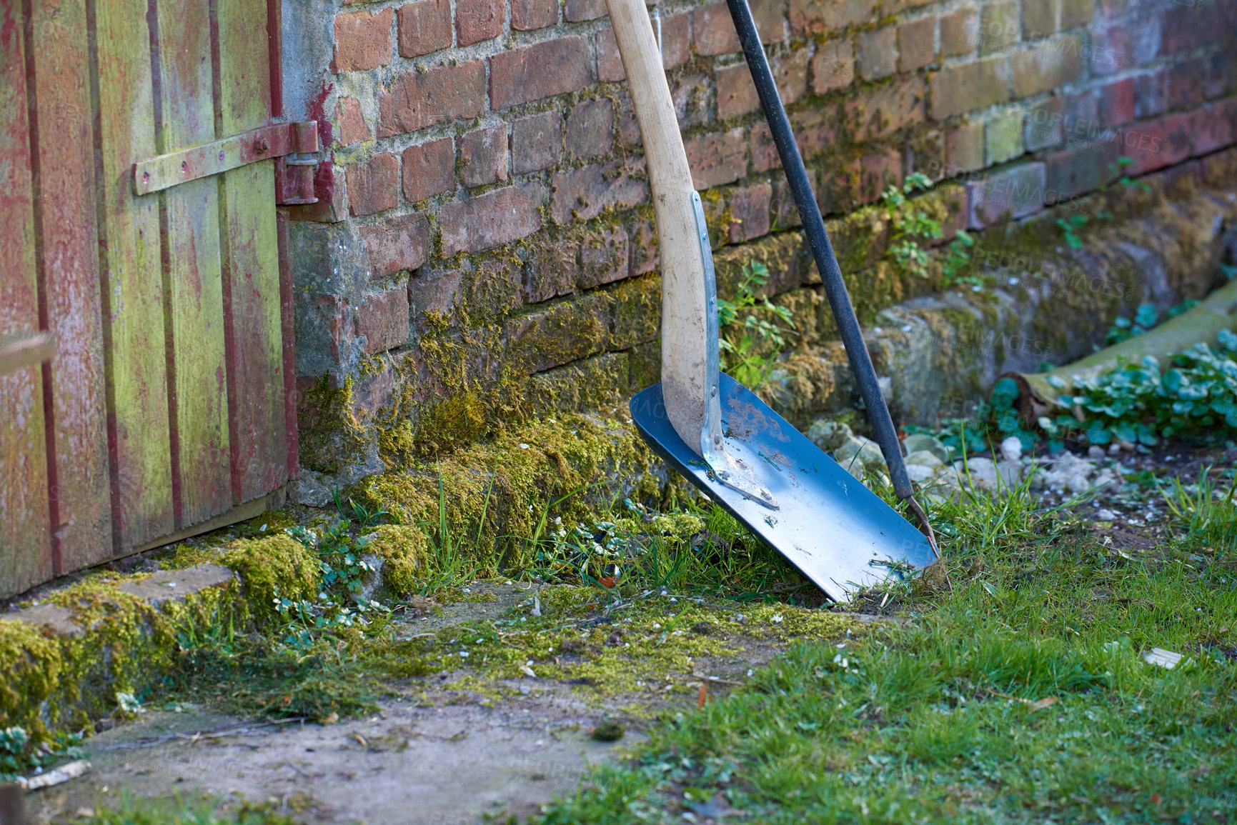 Buy stock photo A close-up of a shovel kept on the support of a brick wall in the garden for gardening. Dirty shovel stuck in the ground. Equipment and tools kept for home improvements or for doing yard work