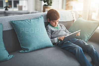 Buy stock photo Shot of a focused little boy browsing on a digital tablet while being seated on a sofa at home during the day