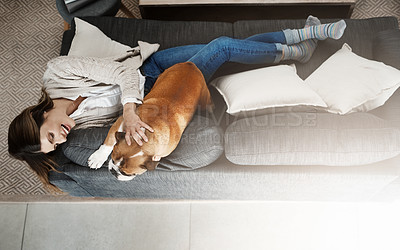 Buy stock photo Woman, relax and sofa with dog as top view in home as best friend bonding, connection or laughing. Female person, pet and animal from above for weekend rest in apartment, happy or emotional support