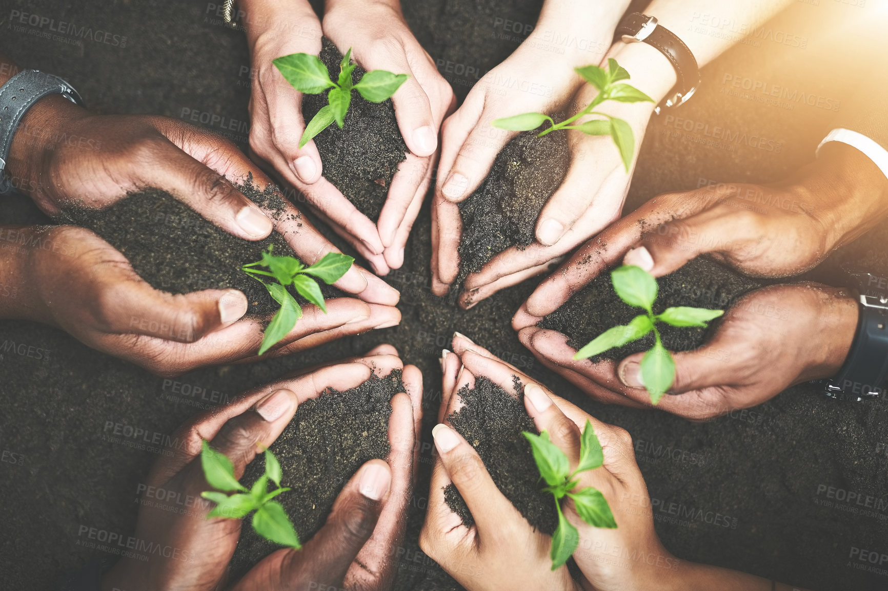 Buy stock photo Cropped shot of a group of people holding plants growing out of soil