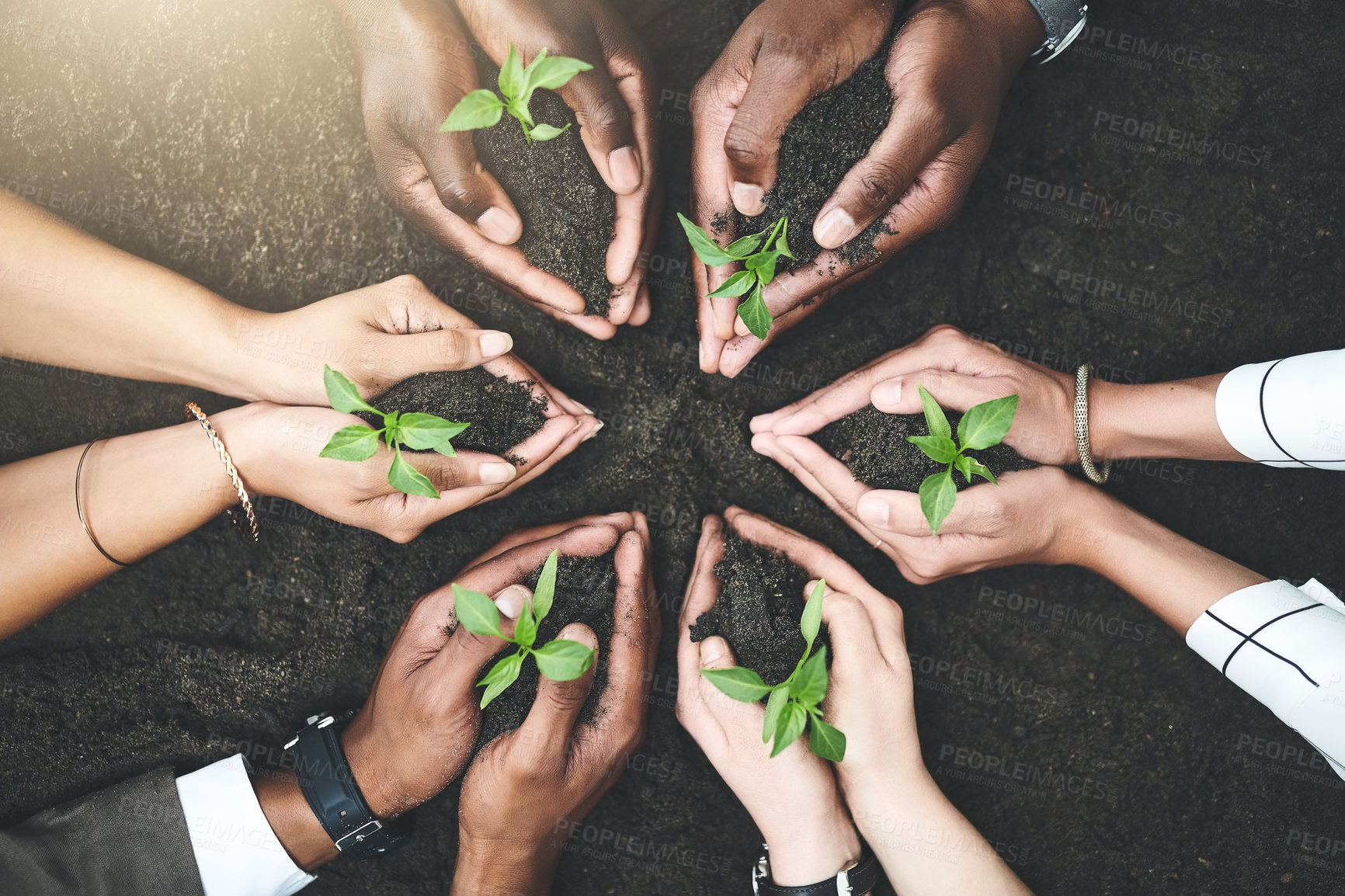 Buy stock photo Business people, hands and team with plants in nature, support and help in sustainable environment. Employees, above and group with sapling for eco friendly mission, closeup and zero carbon footprint