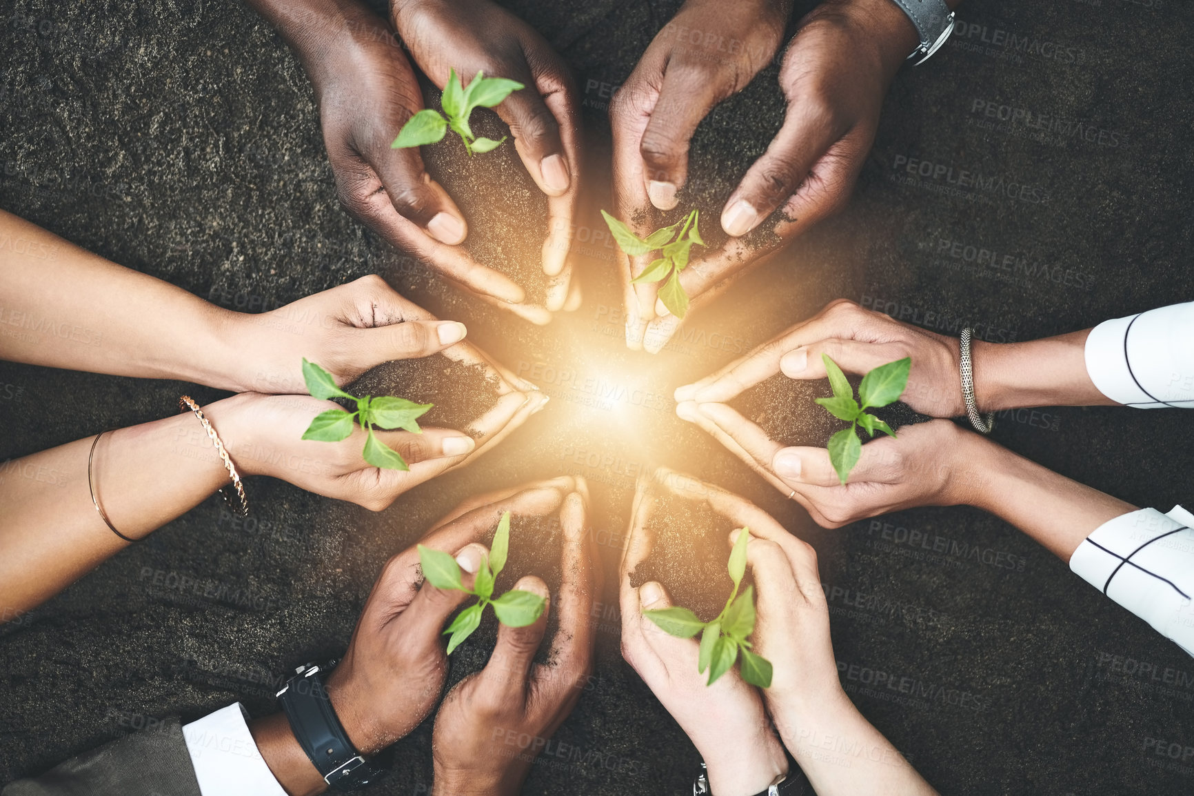 Buy stock photo Cropped shot of a group of people holding plants growing out of soil