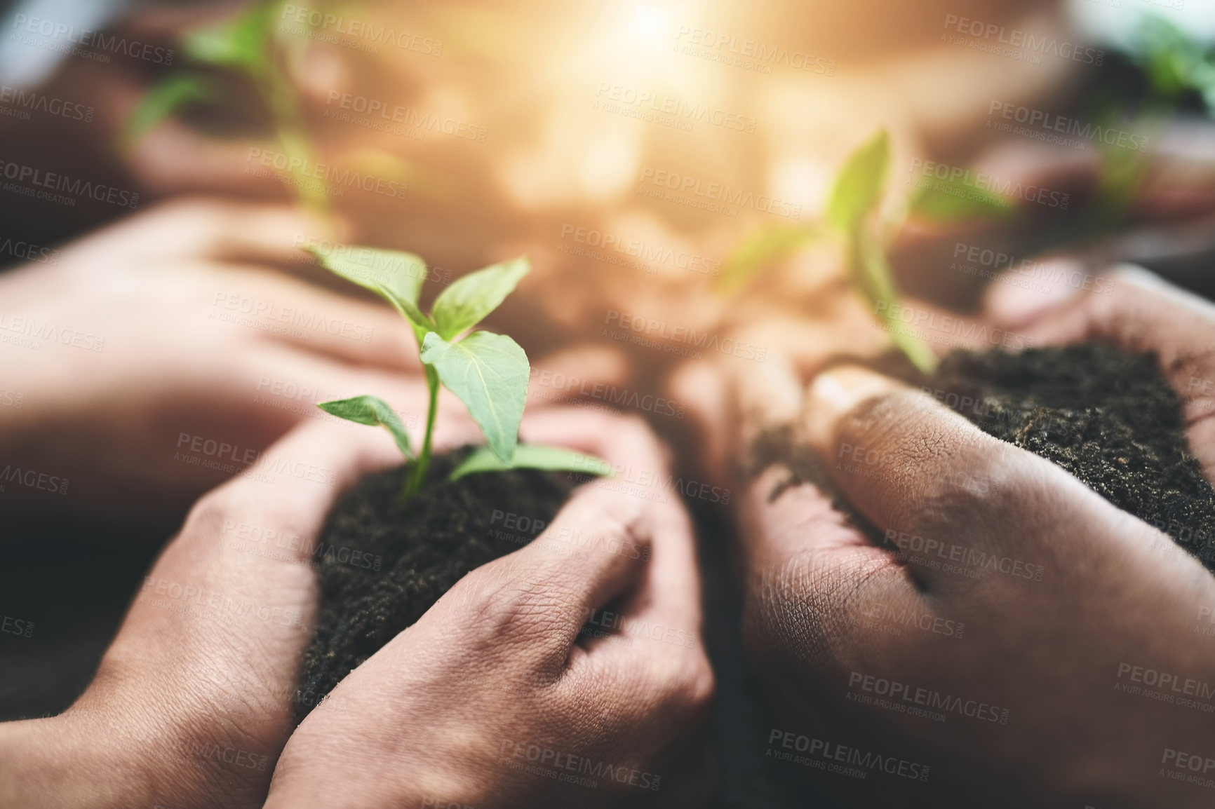 Buy stock photo Cropped shot of a group of people holding plants growing out of soil