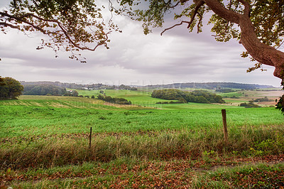 Buy stock photo Nature, environment and landscape with field in countryside for grass, sustainability and spring. Green, forest and trees with peaceful meadow in Denmark for ecology, plants and travel adventure