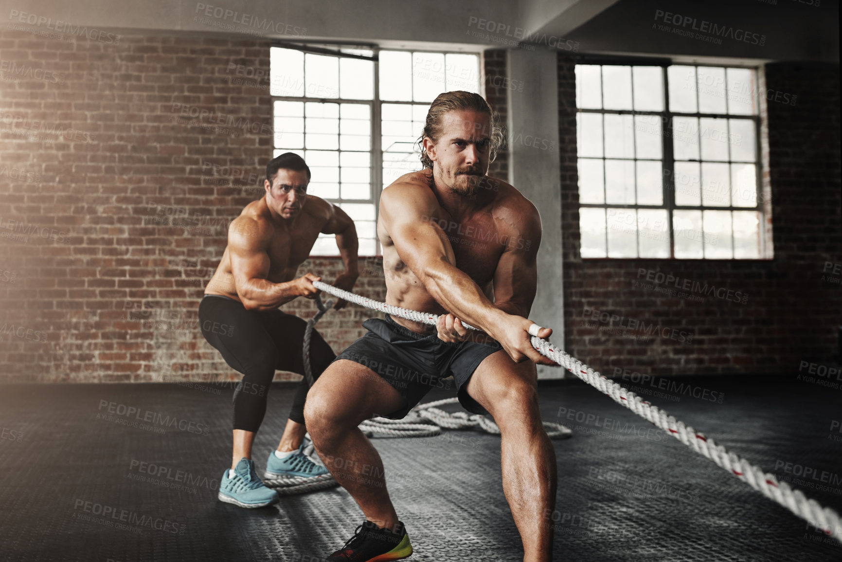 Buy stock photo Man, training and exercise in gym with rope for fitness, workout and muscle growth, agility and power. Body builder, pull and tug of war in sports club for strength, health and speed with resilience