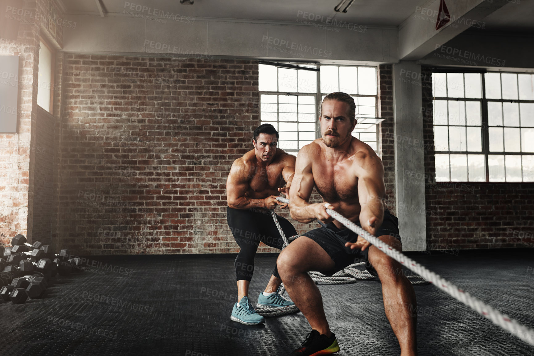 Buy stock photo Men, friends and pulling  rope for fitness at gym for bodybuilding with strength and determination. Partners, muscles and strong on training, workout and exercise for health, wellness and challenge
