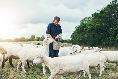 Buy stock photo Shot of a cheerful young male farmer feeding his sheep by hand outside on a farm during the day