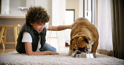 Buy stock photo Food, dog and child and feeding in apartment for love, bonding and friends. Animal, happy and pets with young boy and puppy eating on floor of family home for affectionate, responsible and learning
