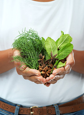 Buy stock photo Hands, spices and person with natural herbs for healthy diet, wellness or cooking closeup. Green, leaf and plants for nutrition, detox food or organic alternative medicine benefits of nutritionist