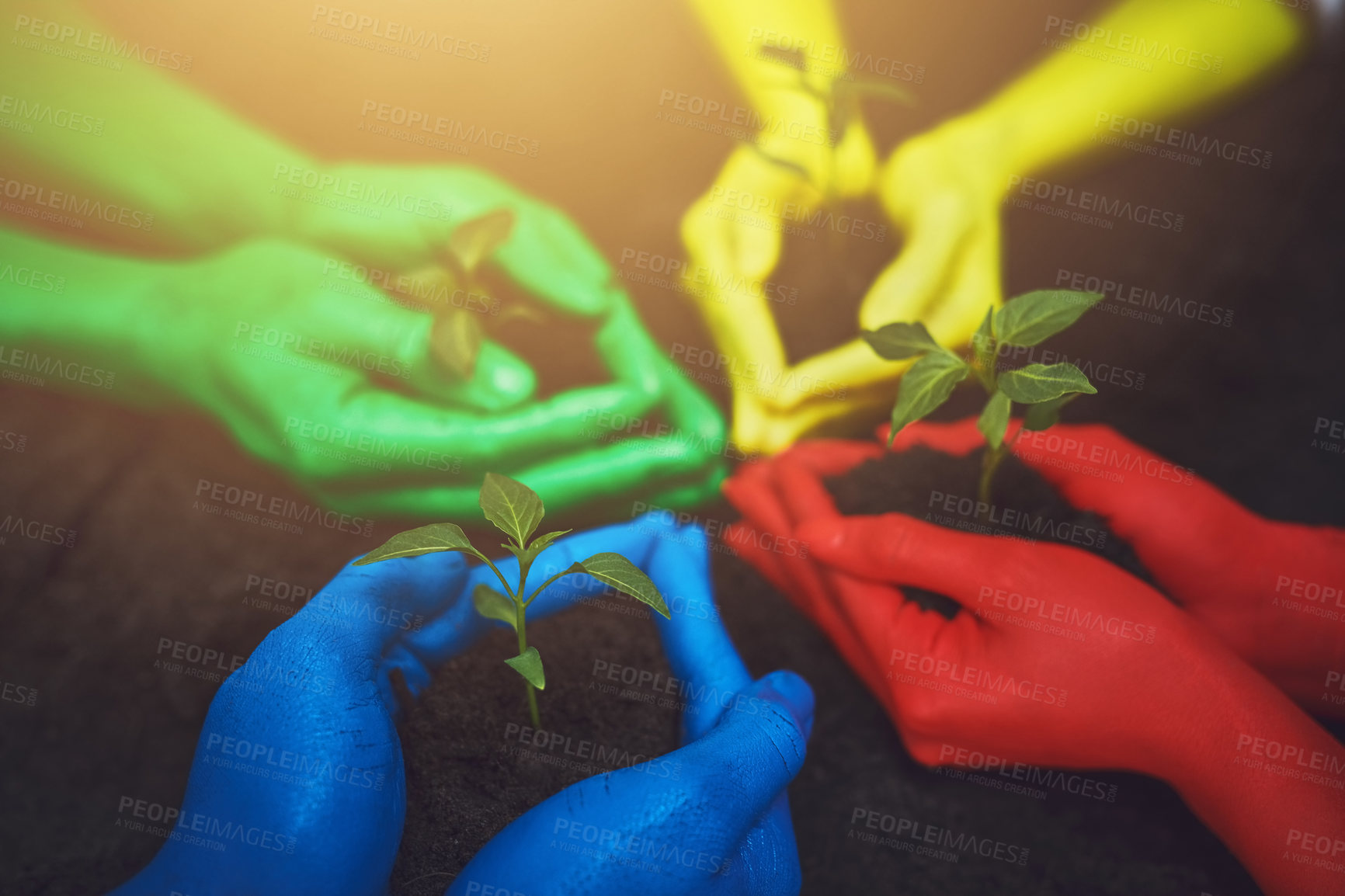 Buy stock photo Cropped shot of unrecognizable people holding budding plants in their multi colored hands