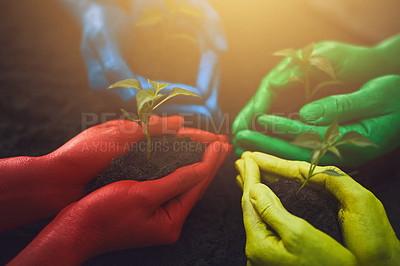 Buy stock photo Cropped shot of unrecognizable people holding budding plants in their multi colored hands
