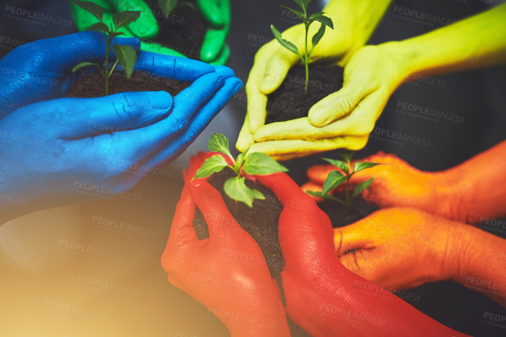 Buy stock photo Environment, fertilizer and soil with hands of people for growth, future and sustainability. Support, volunteer and hope with closeup of plant and color for community service, seedling and garden 