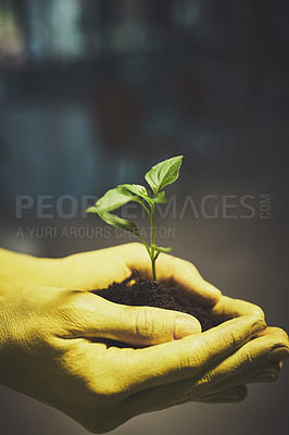 Buy stock photo Cropped shot of an unrecognizable person holding a budding plant in their colorful hands