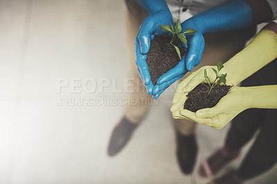 Buy stock photo Cropped shot of unrecognizable people holding budding plants in their colorful hands
