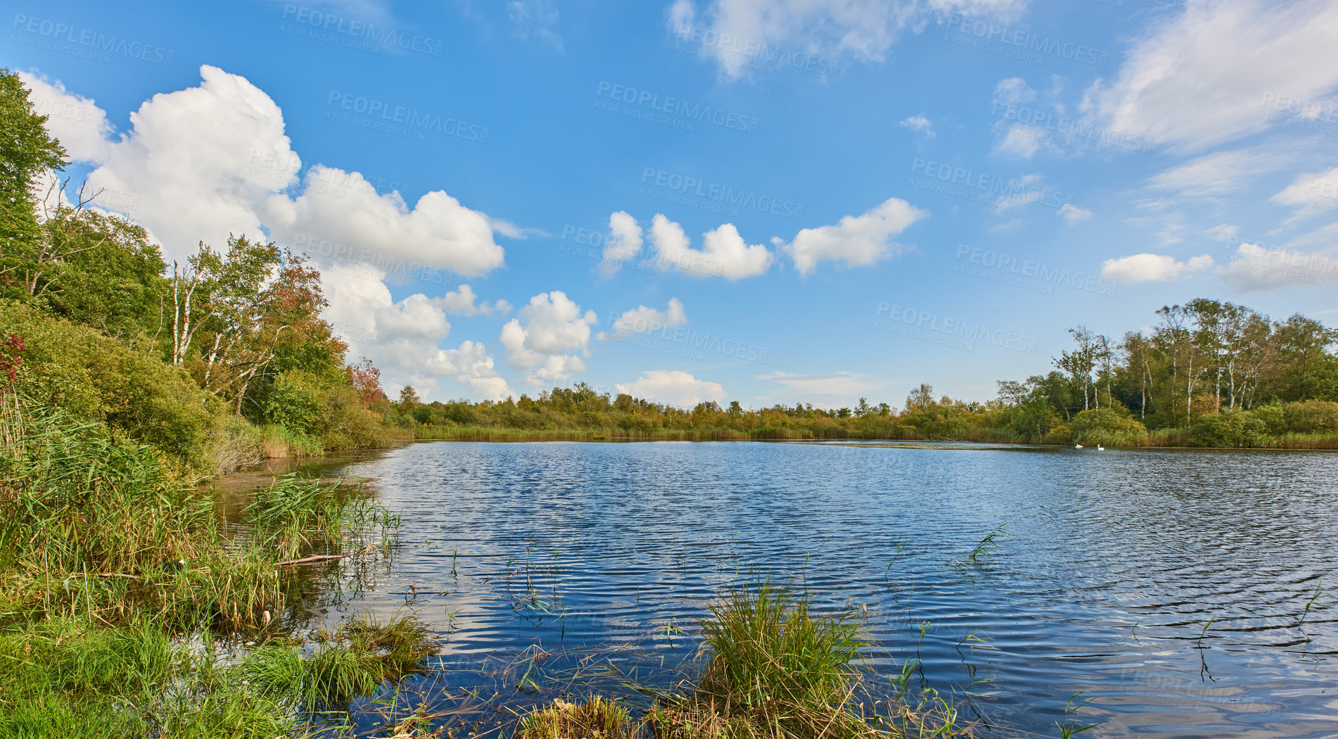 Buy stock photo Copyspace and scenic landscape of a calm and quiet lake surround by trees and scrubs and a cloudy blue sky above in Denmark. A forest with a river and lush green plants in a remote location in nature