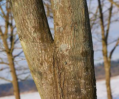 Buy stock photo Seasons of Denmark