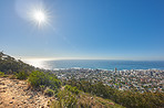 Trails of Table Mountain National Park