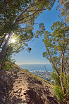 Trails of Table Mountain National Park