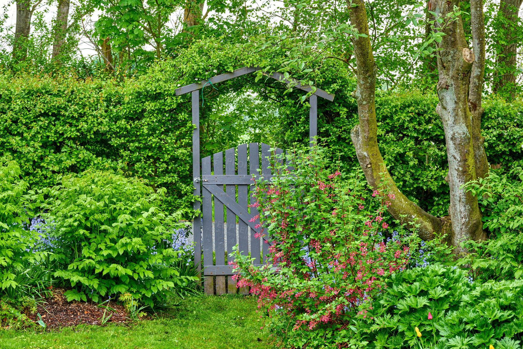 Buy stock photo A series of beautiful garden photos