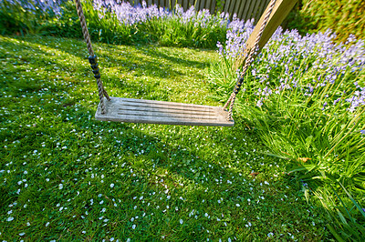 Buy stock photo An empty wooden swing in a garden. A simple hanging rope seat on a lawn for fun leisure or relaxation. Beautiful green grass backyard or flower park with an outdoor swinging seat to play on in summer