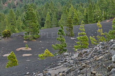 Buy stock photo Beautiful lava landscape on the Cumbre Nueva in La Palma