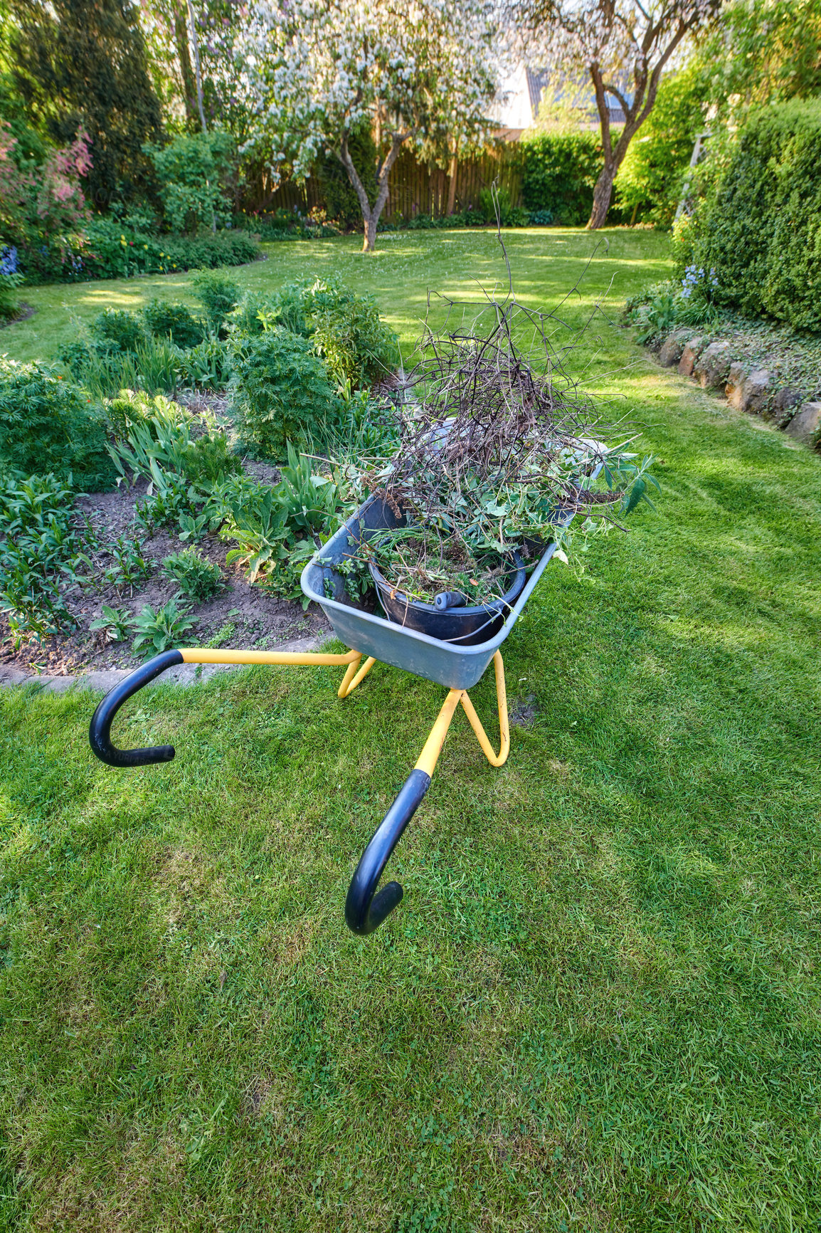 Buy stock photo A wheelbarrow full of plants in a green garden from above. Maintenance equipment on a clean well maintained lawn in a sunny backyard used for gardening, moving vegetations, dry leaves and branches