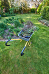 Garden and wheelbarrow