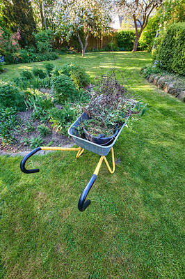 Buy stock photo A wheelbarrow full of plants in a green garden from above. Maintenance equipment on a clean well maintained lawn in a sunny backyard used for gardening, moving vegetations, dry leaves and branches