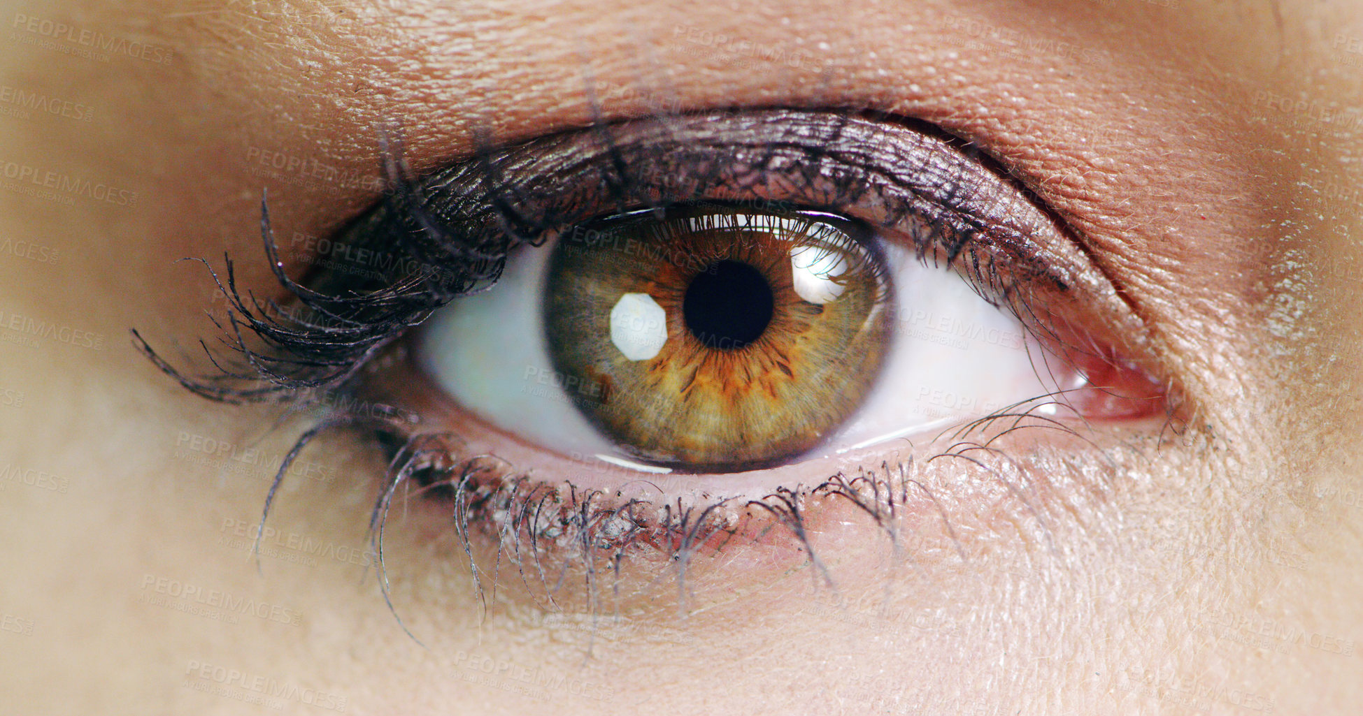 Buy stock photo Closeup beauty shot of a young woman's eye
