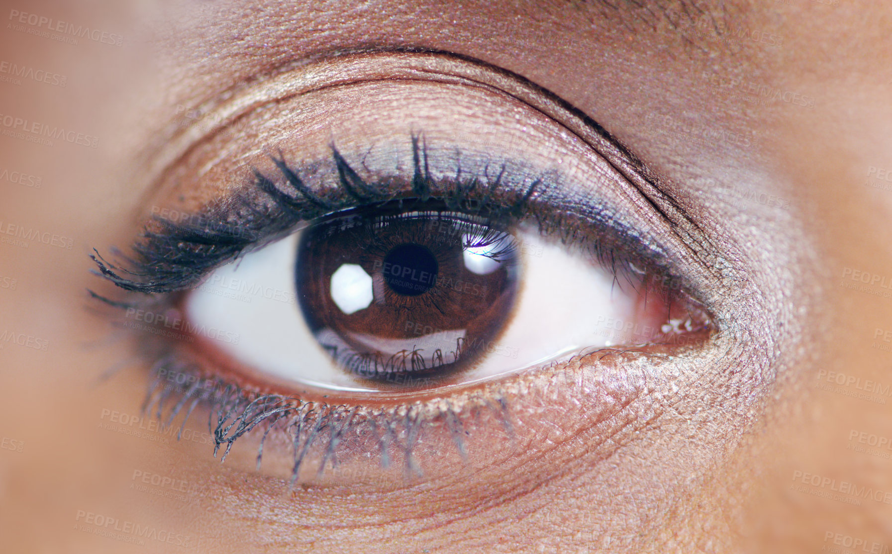 Buy stock photo Closeup beauty shot of a young woman's eye