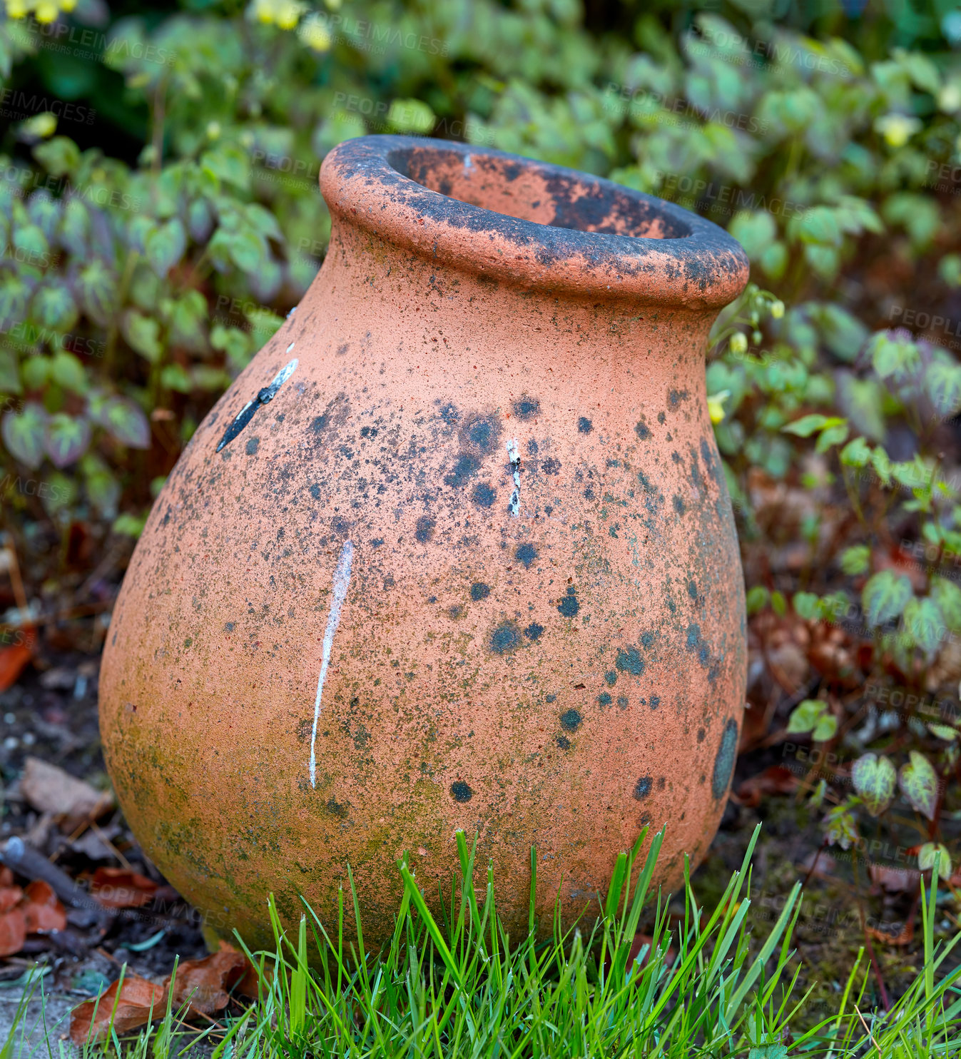 Buy stock photo In my garden - jar and flower pot