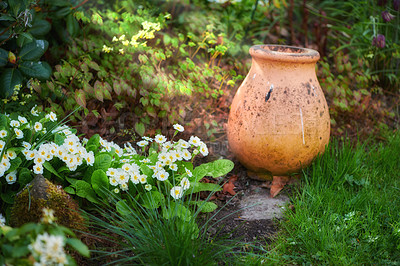 Buy stock photo In my garden - jar and flower pot