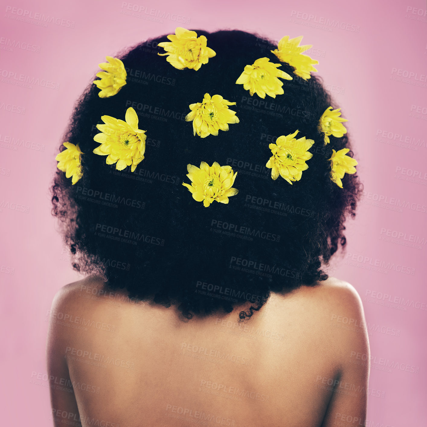 Buy stock photo Rearview shot of a woman standing with flowers in her hair
