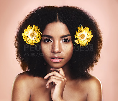 Buy stock photo Portrait, woman and flowers in afro, studio and background for beauty, floral aesthetic or shine. Face of african model, natural skincare and yellow daisy plants in hair for makeup, cosmetics or glow