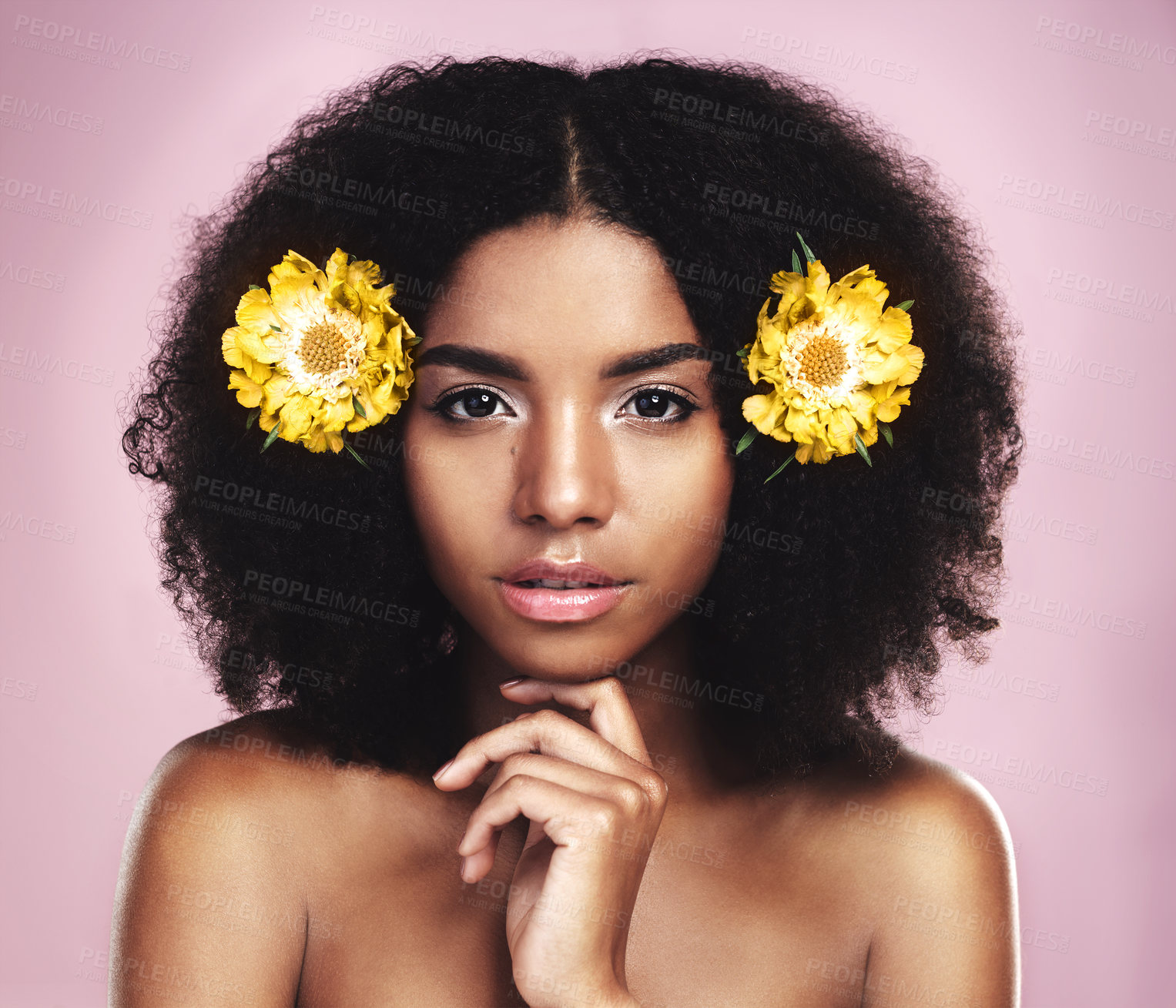Buy stock photo Face, serious woman and flowers for hair care in studio, pink background and beauty of floral aesthetic. Portrait of african model, natural skincare and yellow plants in afro of sustainable cosmetics