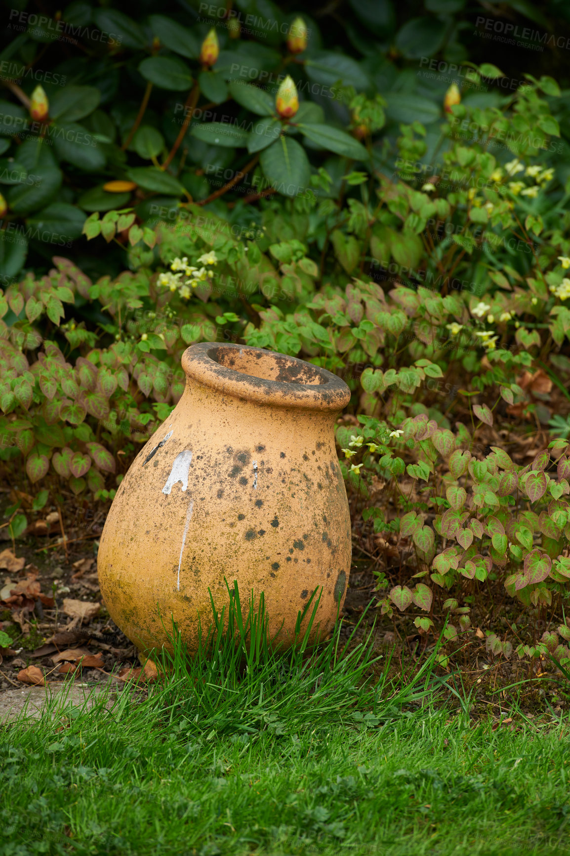 Buy stock photo In my garden - jar and flower pot