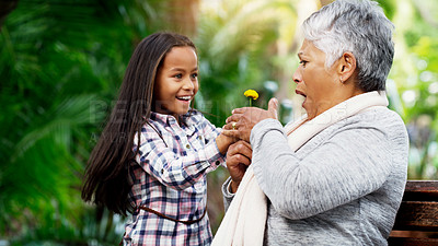 Buy stock photo Young girl, grandmother and a surprise flower for senior woman or excited child or family bond with pensioner and giving summer daisy in the park. Happy kid, plant and shock with elderly on the bench