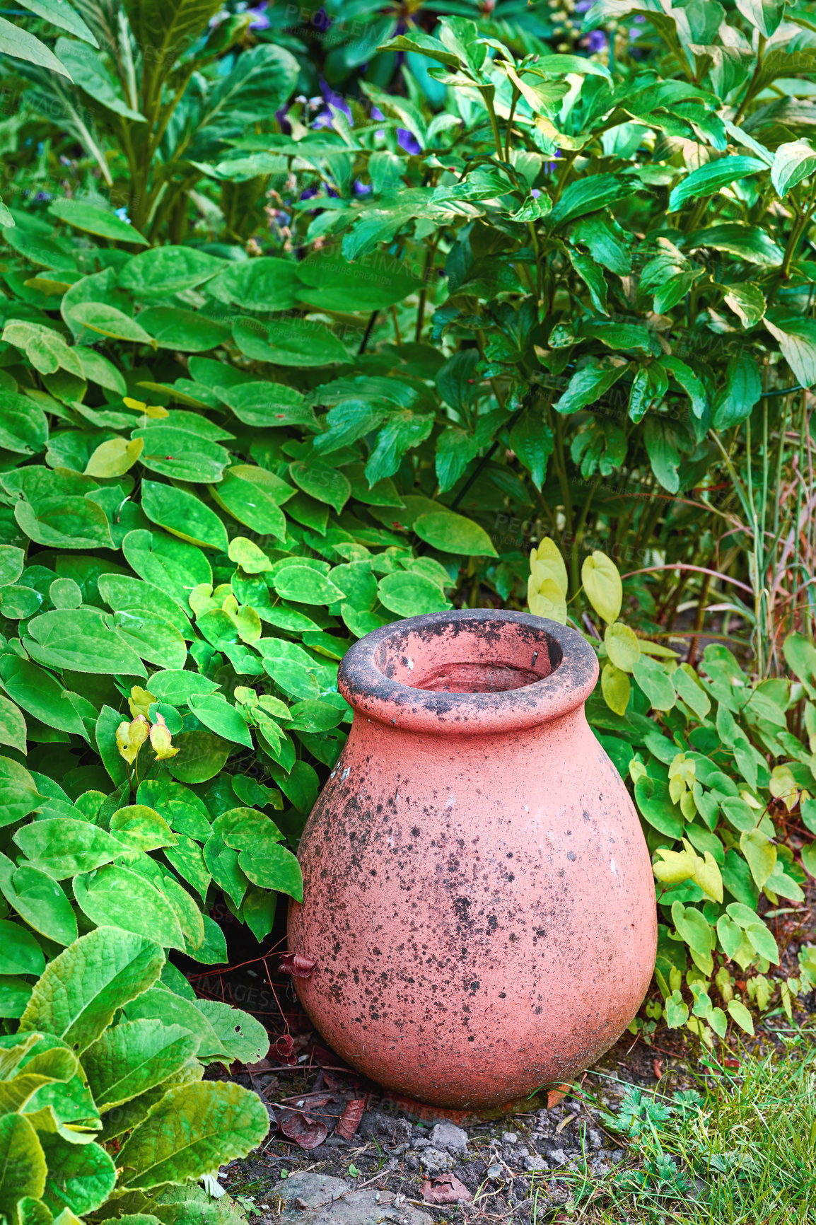 Buy stock photo In my garden - jar and flower pot